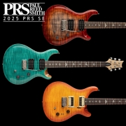 PRS SE SE Custom 24-08