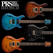 PRS SE Custom SE 커스텀 24 세미할로 피에조