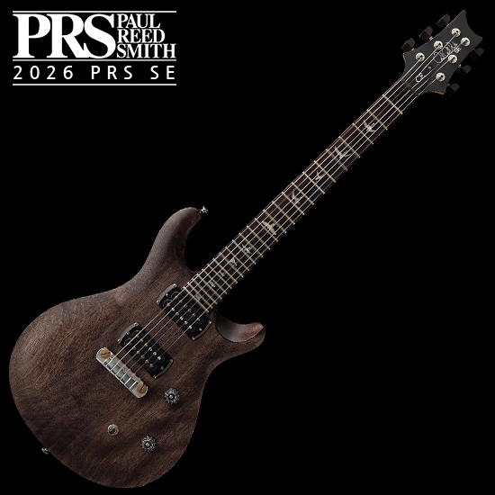 PRS SE SE CE 24 스탠다드 스톱테일