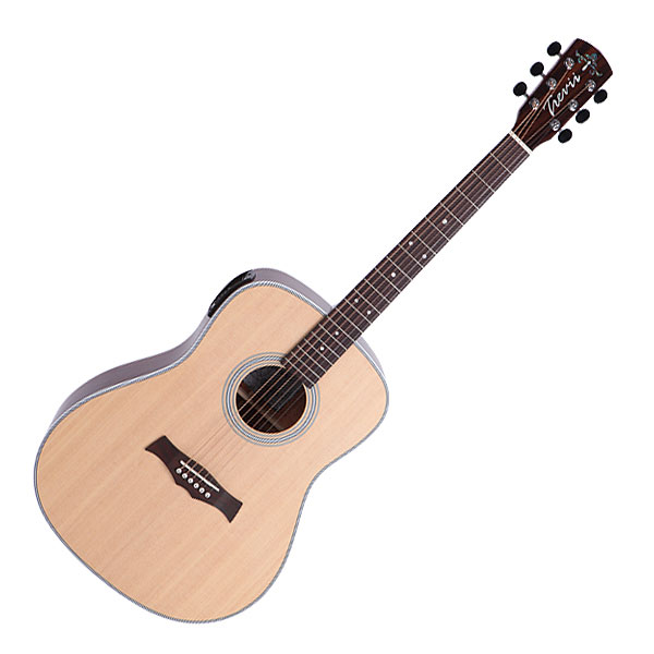 트레비 Dreadnought D-101 EQ