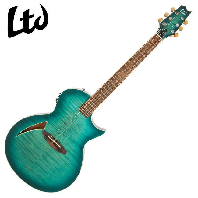 엘티디 ThinLine TL-6