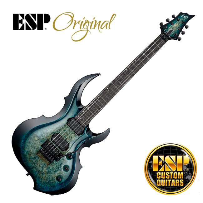 이에스피 Custom Shop FRX-CTM FM BM