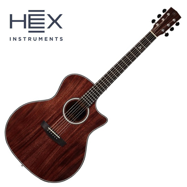 헥스 Grand Auditorium GA520CE