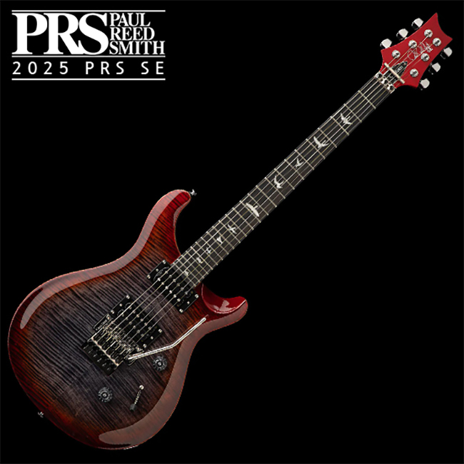 PRS SE SE Custom 24 Floyd