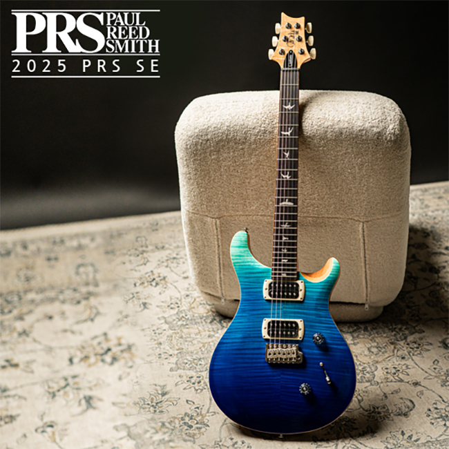PRS SE SE Custom 24