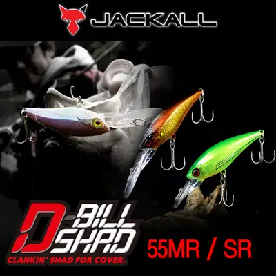 자칼 디빌 쉐드