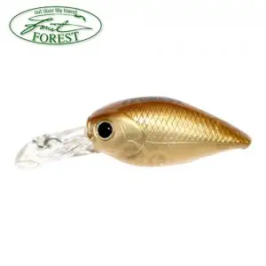 포레스트 딥 크라피