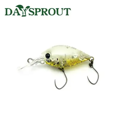 데이스프라우트 차타쿠라 DR G2