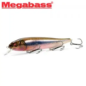 메가배스 라테스 피딩우퍼