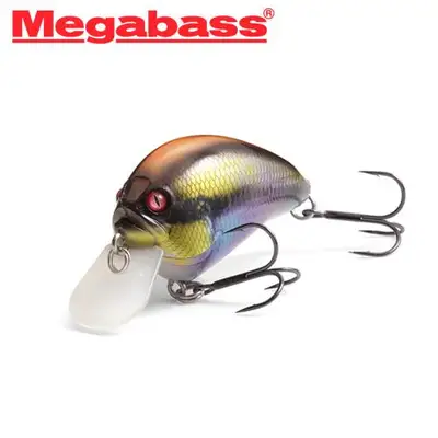 메가배스 아이비아이 블로울리