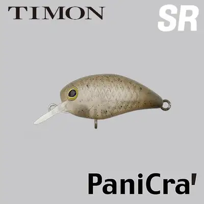 티몬 파니크라 대시 DDR