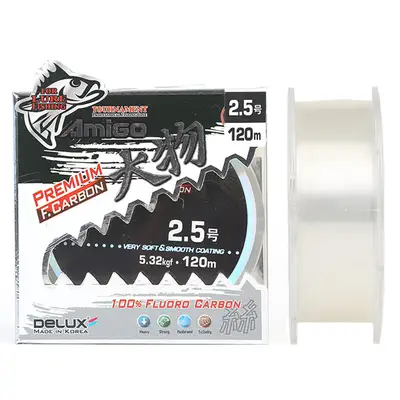 아미고 카본대물