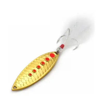 주양 스케일 리치