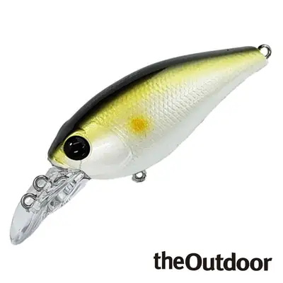 디아웃도어 멀티파이어