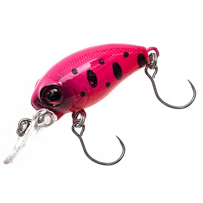 다솔라이징 다솔라이징 39