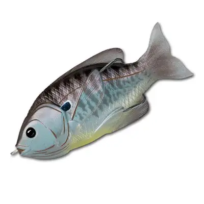 라이브타겟 썬피쉬 할로우 바디