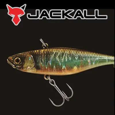 자칼 티엔 슬림8