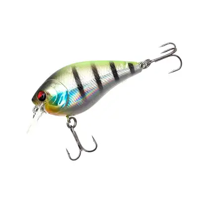 하프루어 다솔라이징 10