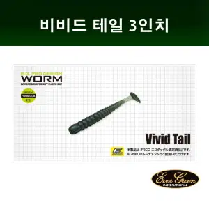 에버그린 비비드 테일