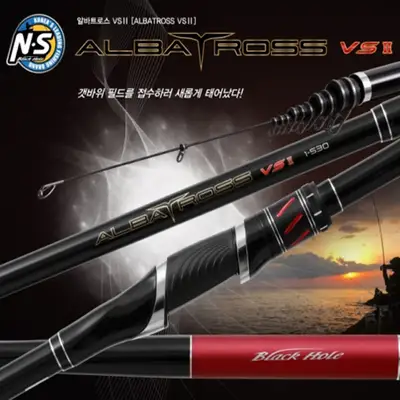 엔에스 알바트로스 VS II