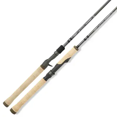 세인트크로익스 아비드