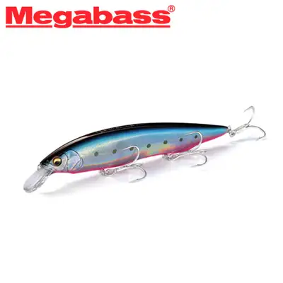 메가배스 카나타 아유 솔트워터