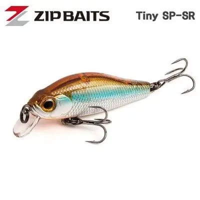 집베이트 캄신 타이니 SR