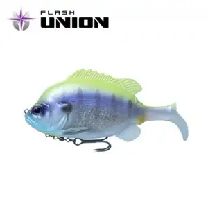 플래쉬 길 스위머