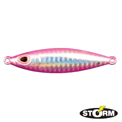 스톰 고모쿠 코이카 지그