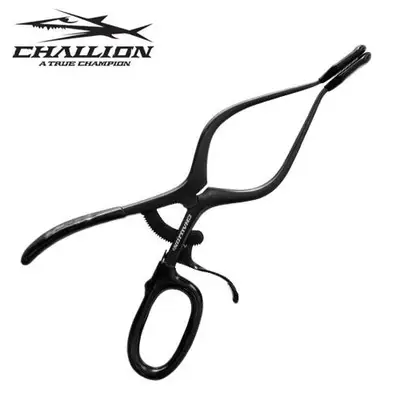 챌리온 스네이크헤드