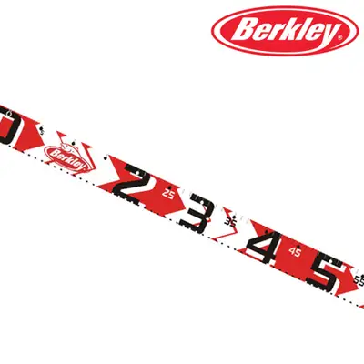 버클리 피싱룰러