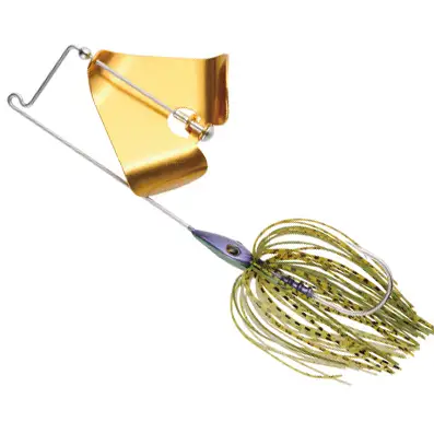 아이마 유에스 버즈