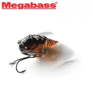 메가배스 그랜드 시글렛