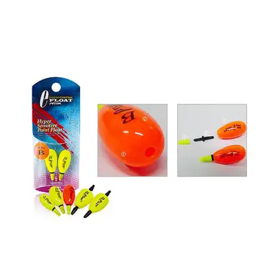 미분류 이플로트 바다목줄찌