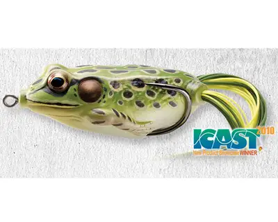 라이브타겟 할로우 바디 프로그