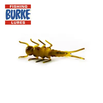 버크 스톤플라이 님프