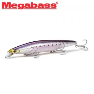 메가배스 마린 갱 쿠카이