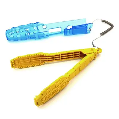 뎁스 파이어버드