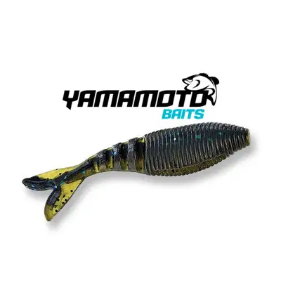 게리야마모토 자코