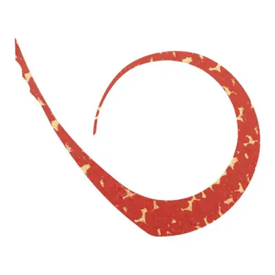 자칼 빈빈옥 커스텀 넥타이 마스터 컬리 미디엄