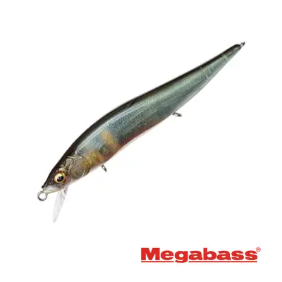 메가배스 비전 원텐 FA