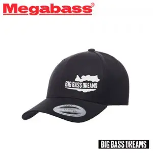 메가배스 빅 배스 드림