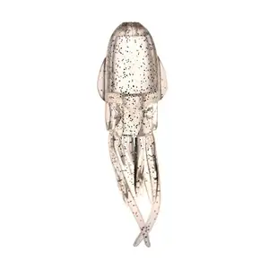 루미카 엑스트라다