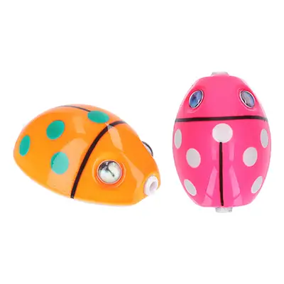 다이와 코우가 나카이 레디버그 헤드