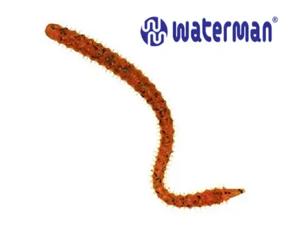 워터맨 워터맨 센사 웜 40