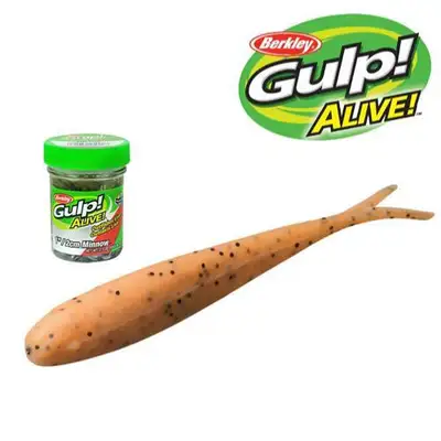 버클리 걸프 얼라이브