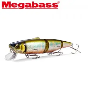 메가배스 수위치