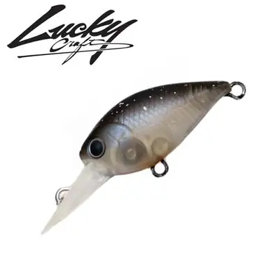 럭키크래프트 딥 크라피 SS