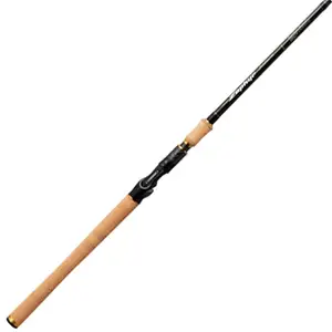 에버그린 아방가르드 그란스워드