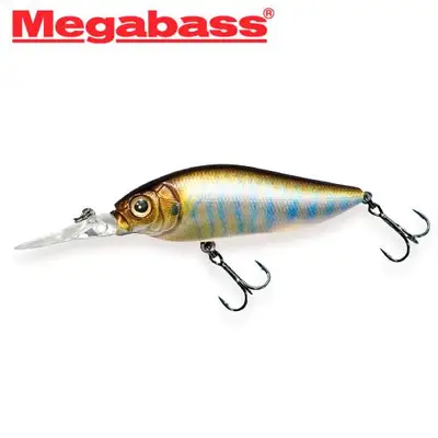 메가배스 다이빙 플랍 스랍